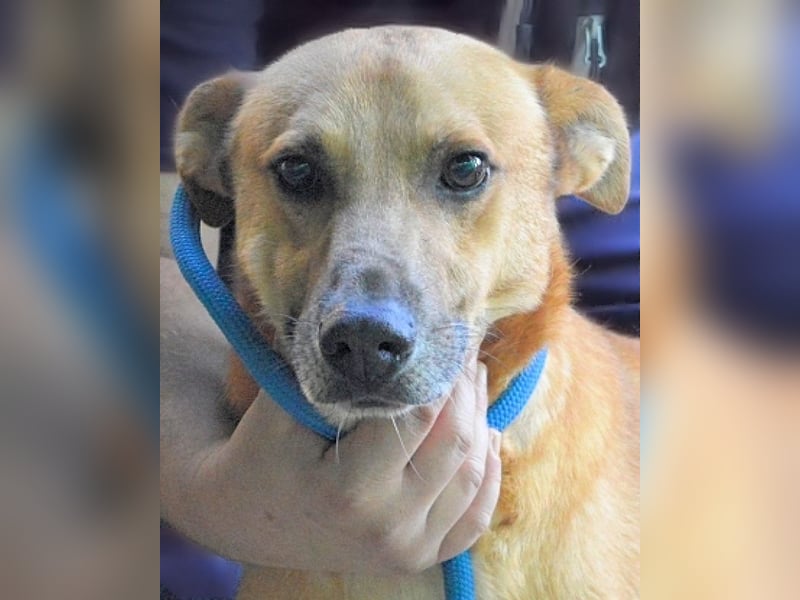 Zaccheo - ist im besten Alter