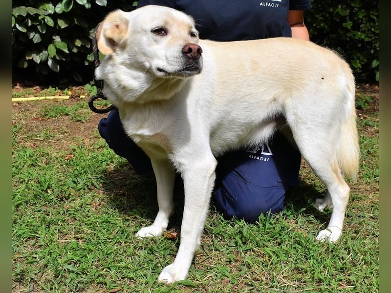 Ulbrecht - Ein kurzer Hauch von Gras