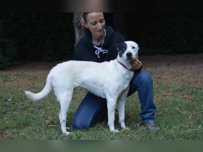 Camellia - sucht ihr Zuhause Camellia - sucht ihr Zuhause