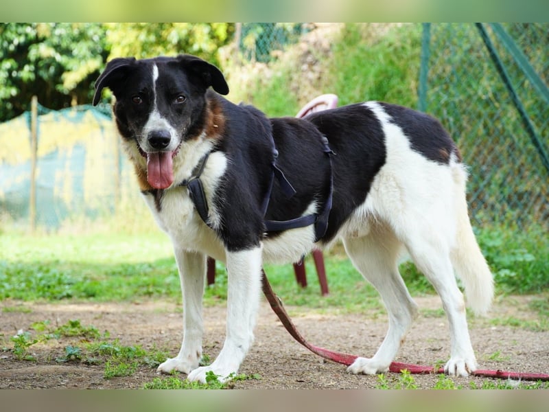 Coraggio - Schritt für Schritt ins Leben zurück