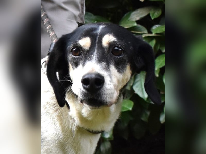 Ericka - NOTFALL - Wie viele Leben brauchst du?