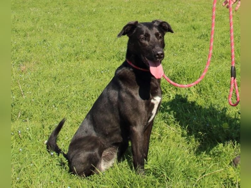 Clodette - Persönlichkeit sucht Führungsqualität!