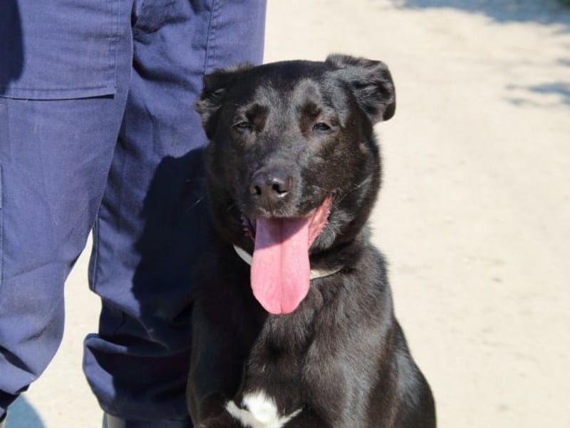 Clodette - Persönlichkeit sucht Führungsqualität!