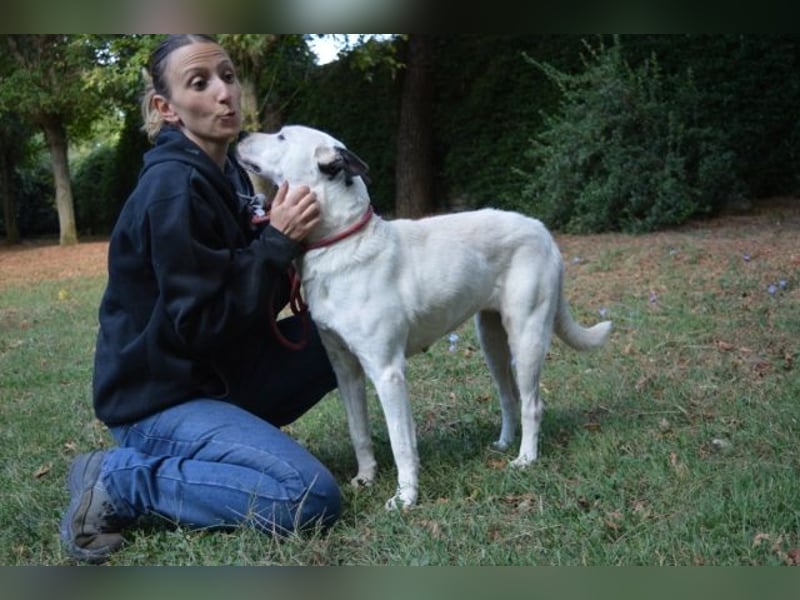 Camellia - sucht ihr Zuhause Camellia - sucht ihr Zuhause