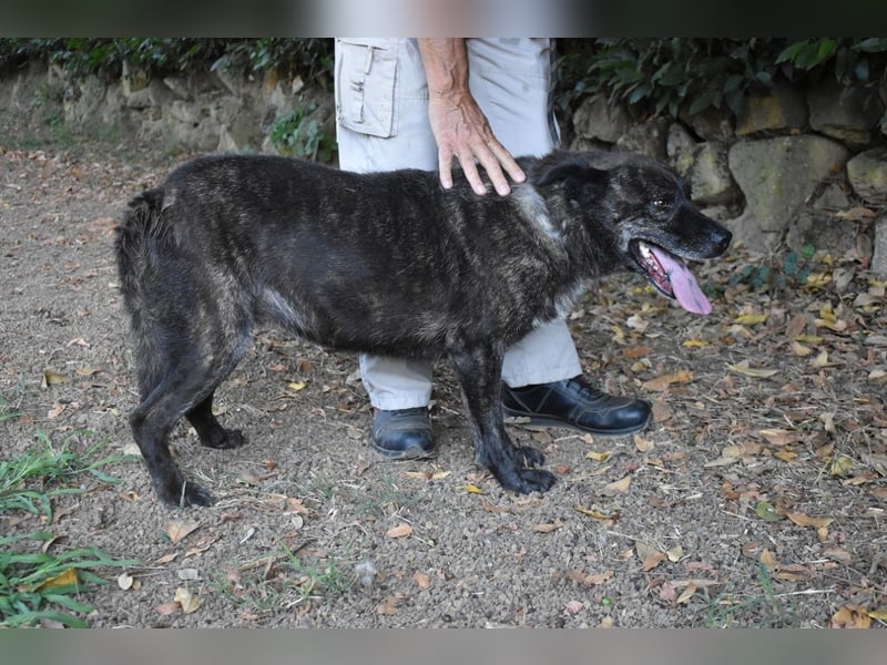 Fareeda - Wo die Schmetterlinge wohnen