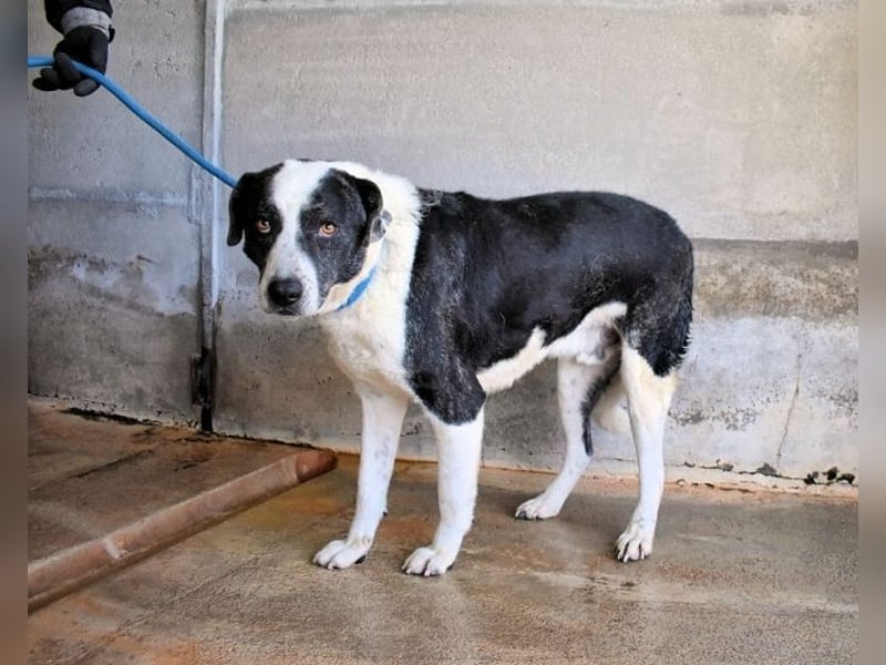 Oldrich - NIE ist einfach zu lang