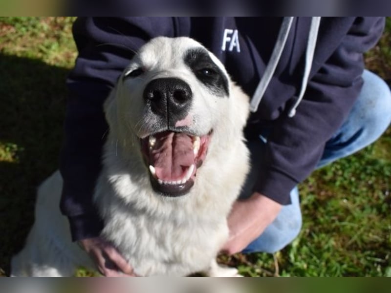 Pattie - Pattie im Vergessen