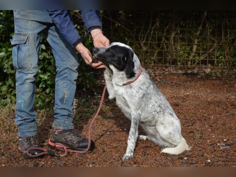 Flicka - möchte noch viel erleben