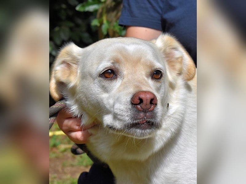 Ulbrecht - Ein kurzer Hauch von Gras