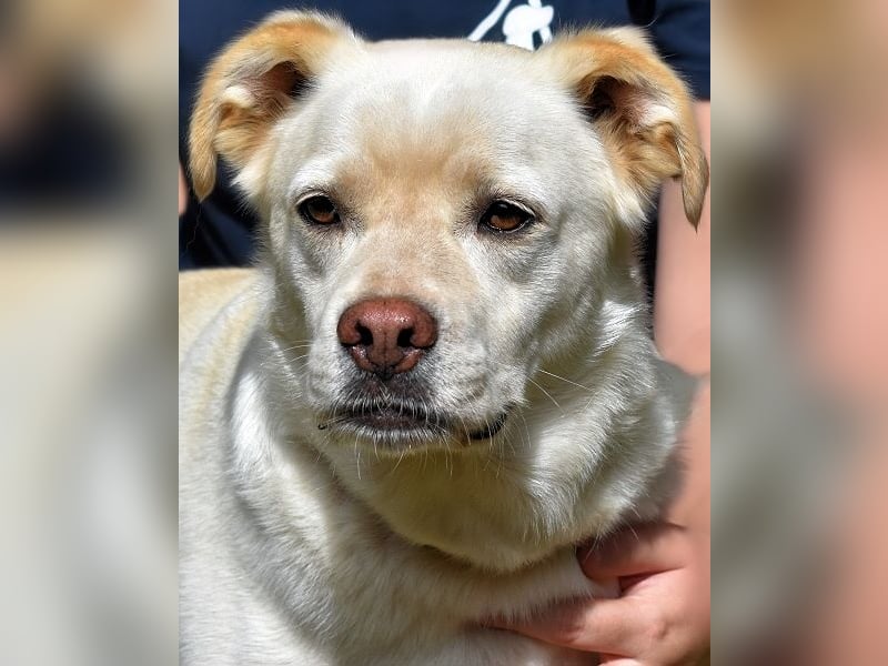 Ulbrecht - Ein kurzer Hauch von Gras