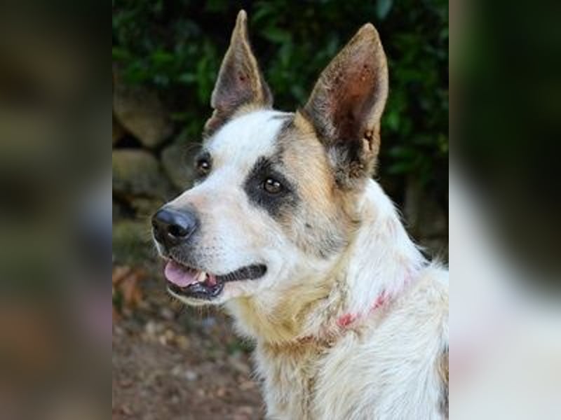 Milde - Ein Flüstern, das sagt: "Du bist sicher."