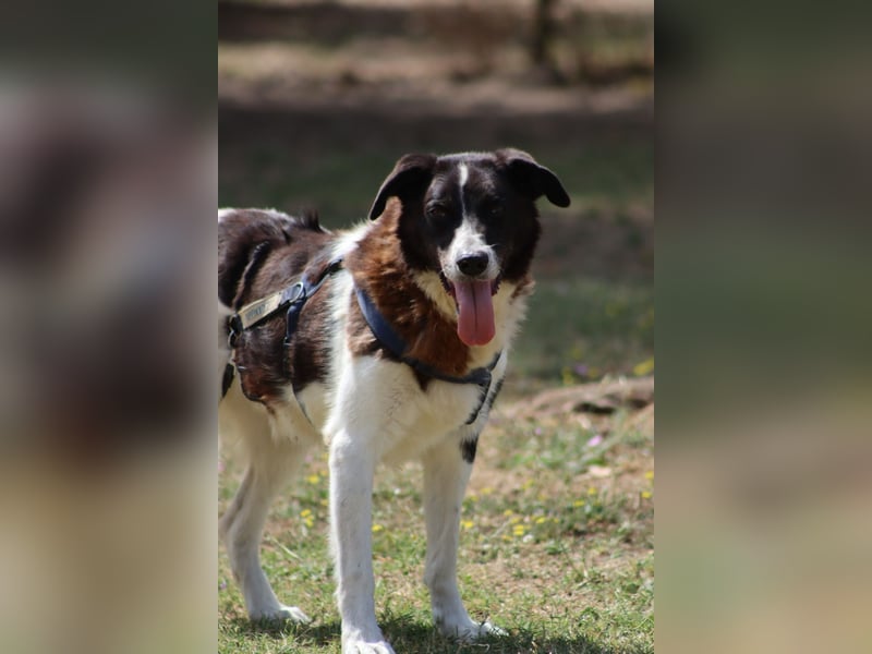 Coraggio - Schritt für Schritt ins Leben zurück