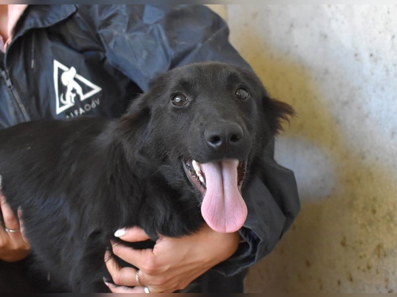 Nerelina - Das Märchen von den fünf Schwestern