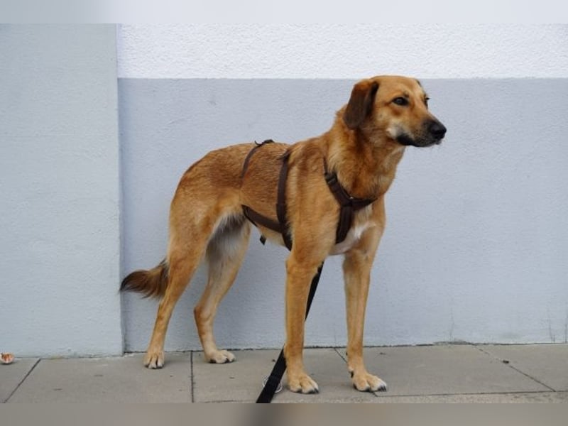 Rihanna - Es hat ihr nichts genützt