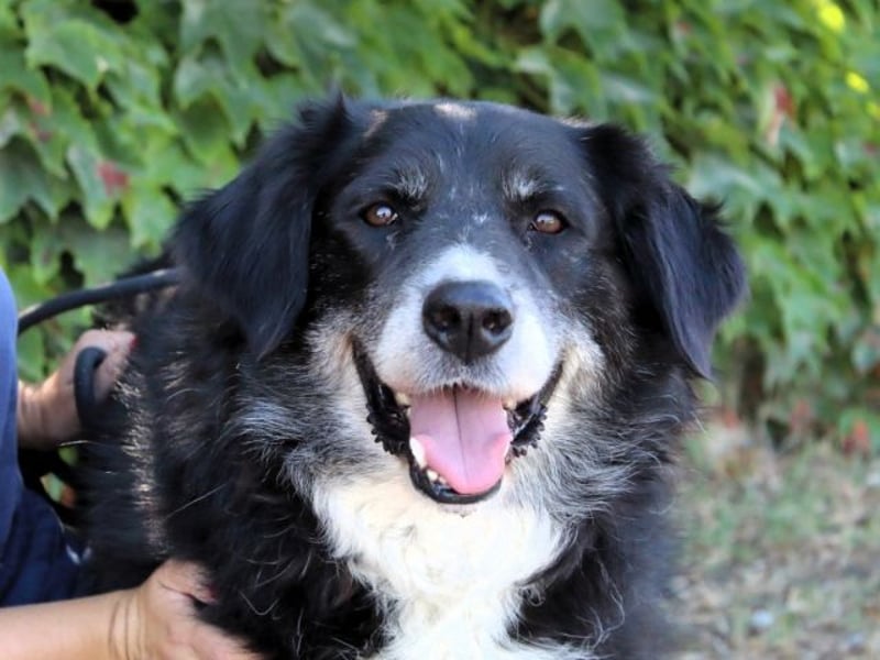 Carmine - Bereit für den Neustart