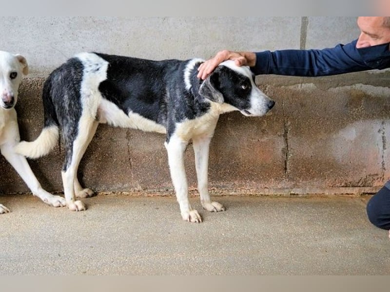 Oldrich - NIE ist einfach zu lang