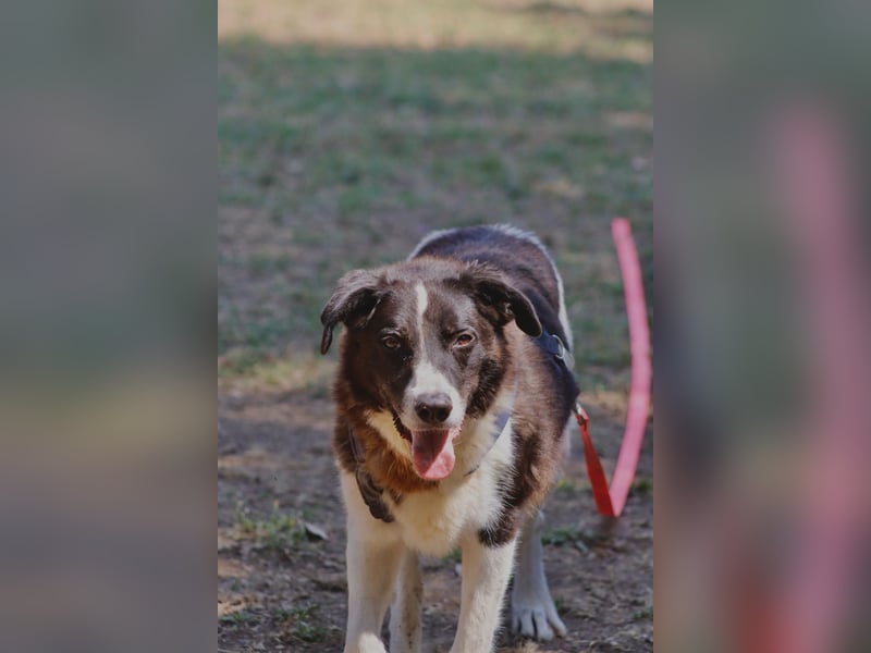 Coraggio - Schritt für Schritt ins Leben zurück