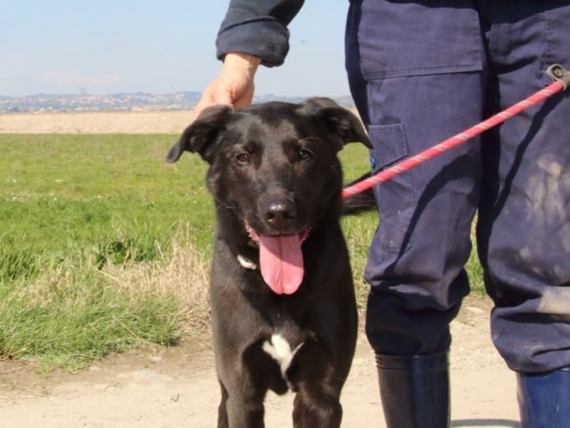 Clodette - Persönlichkeit sucht Führungsqualität!