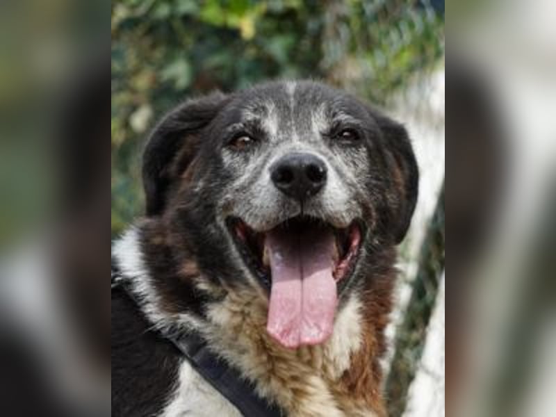 Cambiamento - lasst uns sein Leben verändern