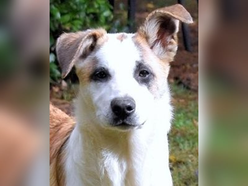 Milde - Ein Flüstern, das sagt: "Du bist sicher."