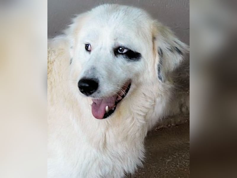 Peeke - Es ist höchste Zeit! Peeke - Es ist höchste Zeit!