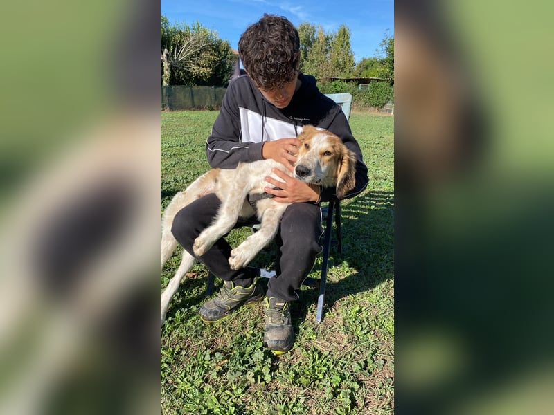 Valerio - Zuckerschneckchen sucht Menschenfamilie