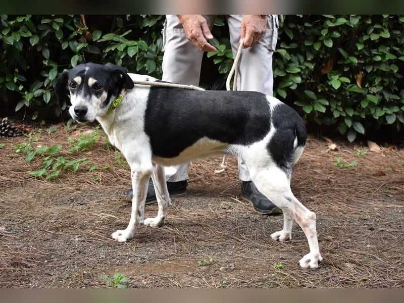 Ericka - NOTFALL - Wie viele Leben brauchst du?