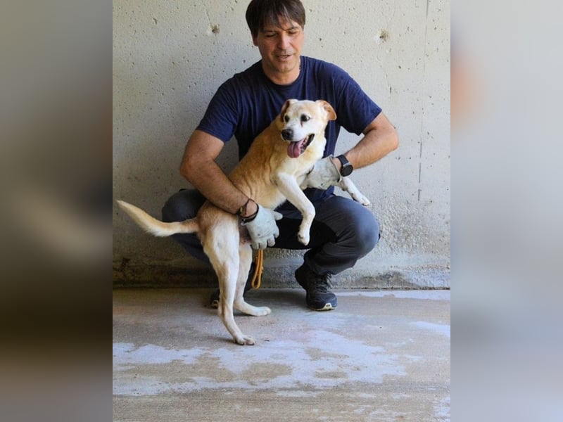 Jimmy - SOS - muss erstmal durchatmen