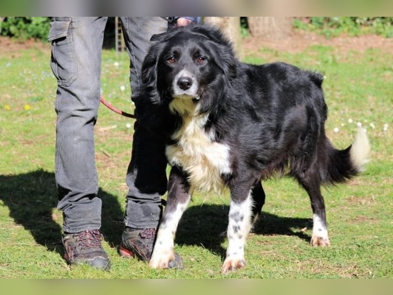 Carmine - Bereit für den Neustart