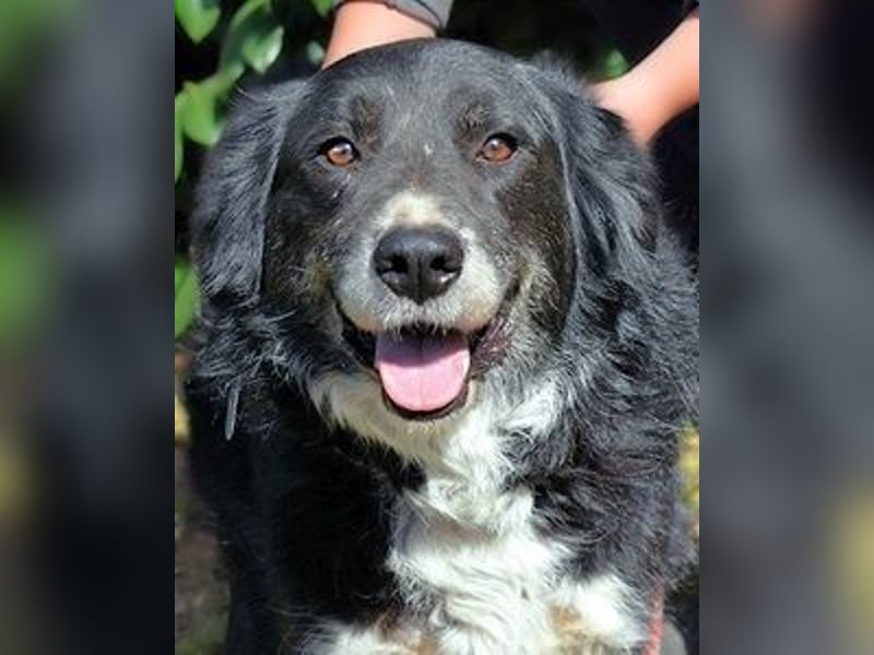 Carmine - Bereit für den Neustart