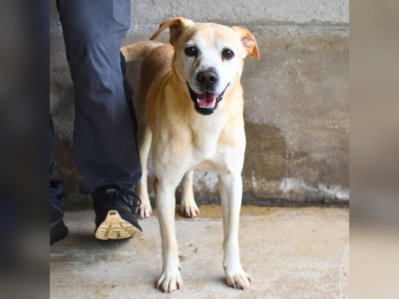 Jimmy - SOS - muss erstmal durchatmen