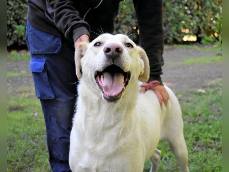 Hadrienne - einmal nur Wärme spüren