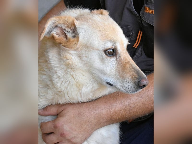 Addison - lange sitzen sie schon da und haben es schwer