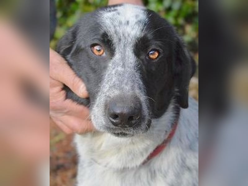 Flicka - möchte noch viel erleben