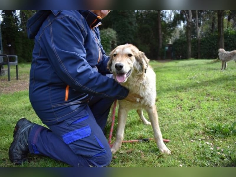 Ligorio und seine Geschwister sind gewachsen