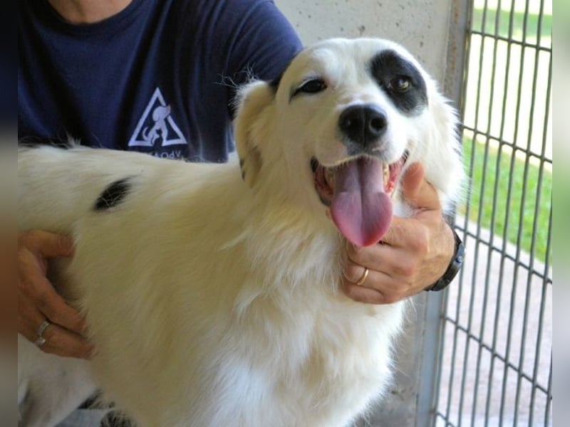 Pattie - Pattie im Vergessen