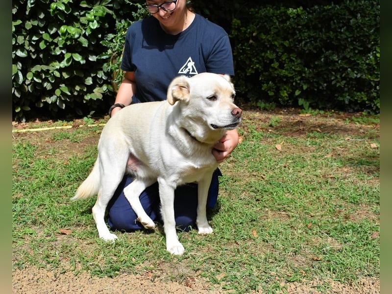 Ulbrecht - Ein kurzer Hauch von Gras