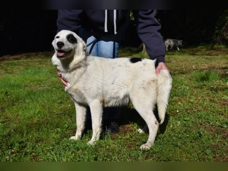 Pattie - Pattie im Vergessen