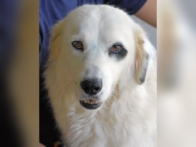 Peeke - Es ist höchste Zeit! Peeke - Es ist höchste Zeit!