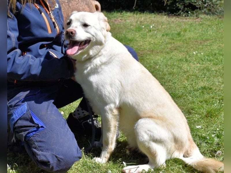 Ulbrecht - Ein kurzer Hauch von Gras