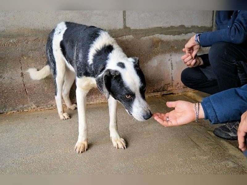 Oldrich - NIE ist einfach zu lang