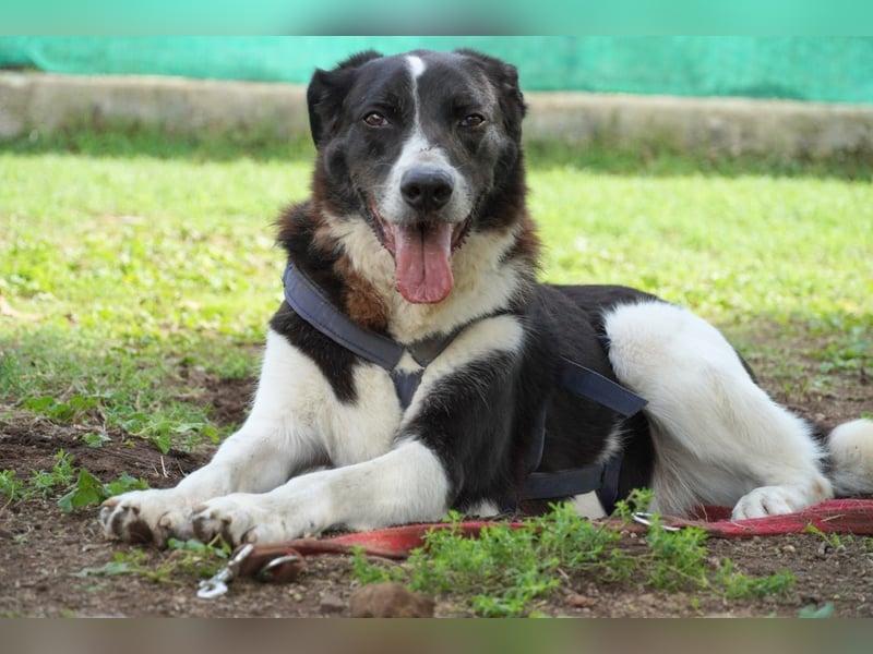 Coraggio - Schritt für Schritt ins Leben zurück