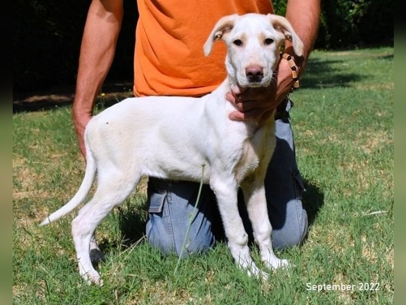 Hadrienne - einmal nur Wärme spüren