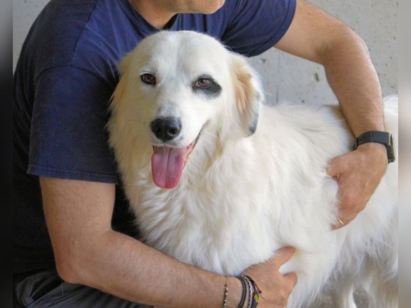 Peeke - Es ist höchste Zeit! Peeke - Es ist höchste Zeit!