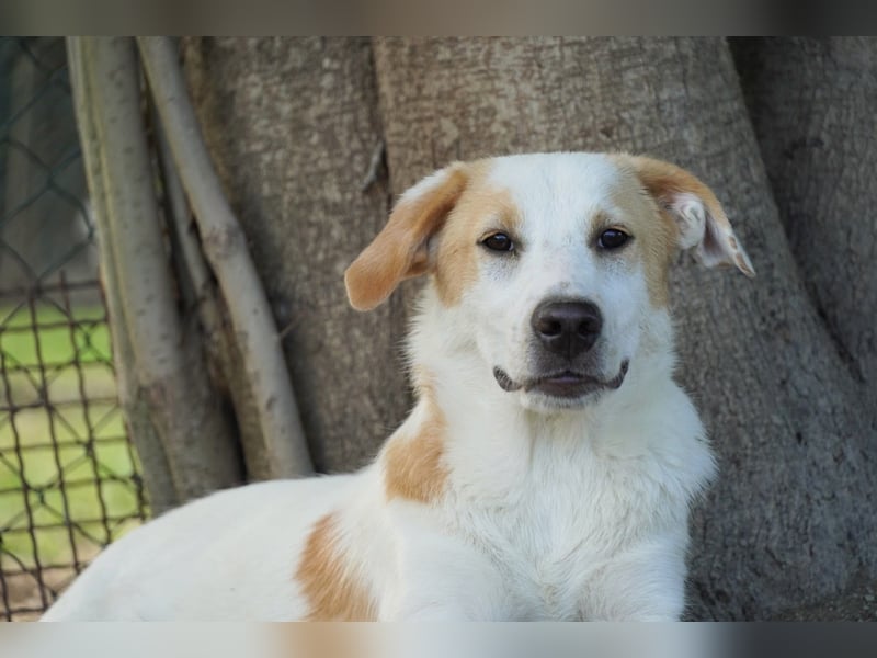 Wafer - Die leise Hoffnung, dass etwas Besseres kommt