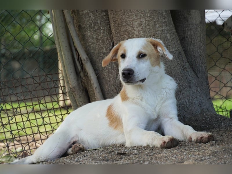 Wafer - Die leise Hoffnung, dass etwas Besseres kommt