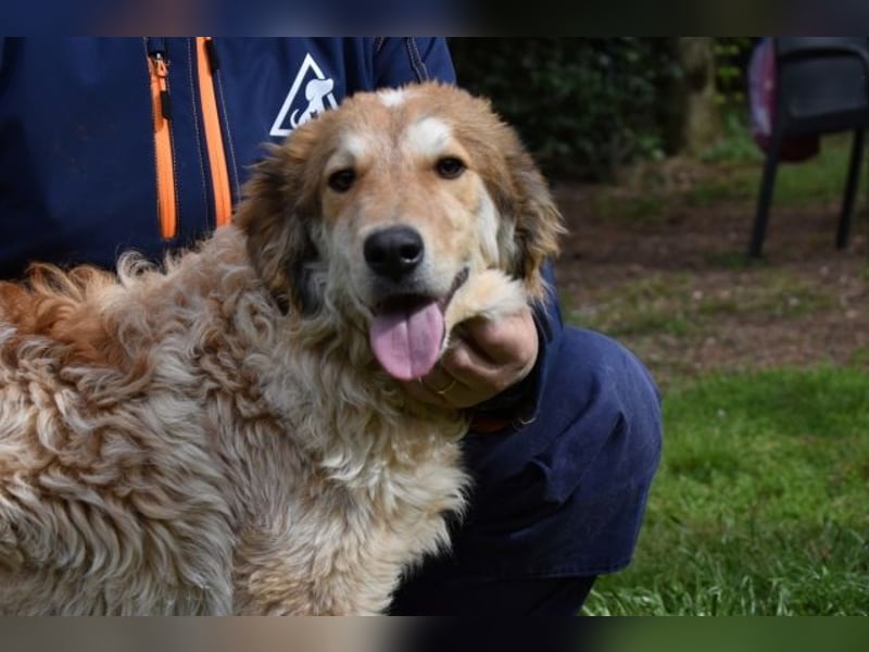 Ligorio und seine Geschwister sind gewachsen