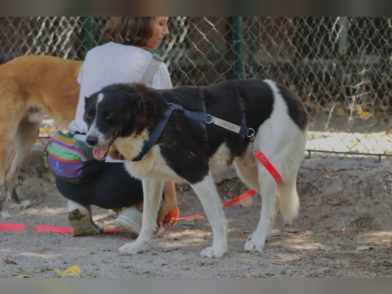 Coraggio - Schritt für Schritt ins Leben zurück