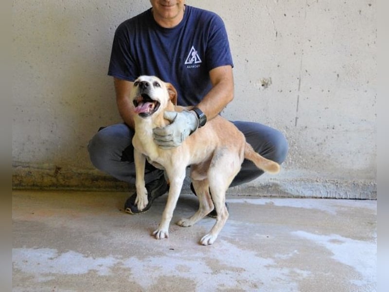 Jimmy - SOS - muss erstmal durchatmen