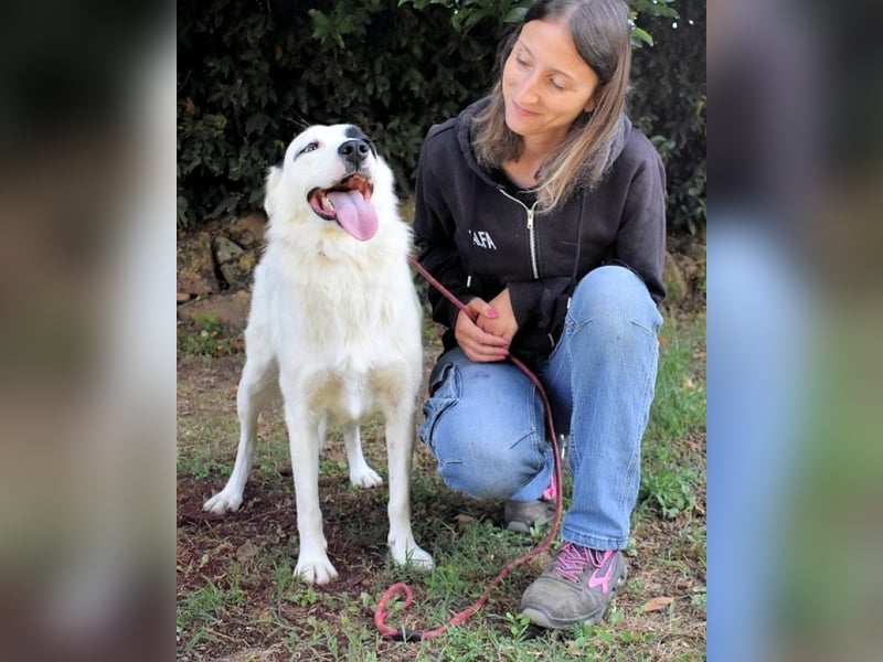 Pattie - Pattie im Vergessen